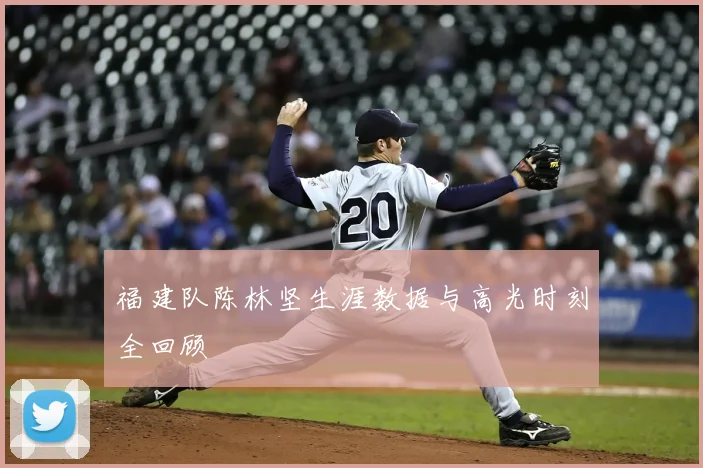福建队陈林坚生涯数据与高光时刻全回顾