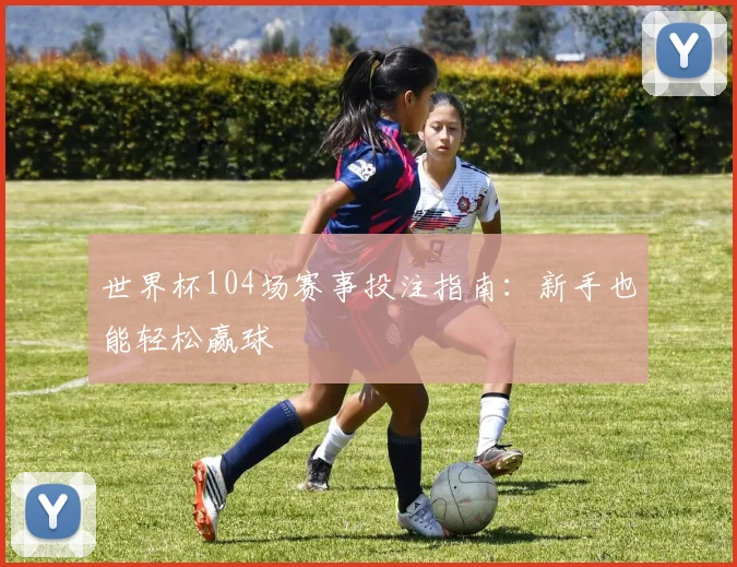 世界杯104场赛事投注指南：新手也能轻松赢球