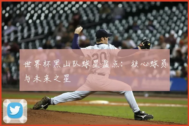 世界杯黑山队球星盘点：核心球员与未来之星
