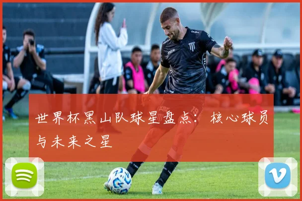 世界杯黑山队球星盘点：核心球员与未来之星
